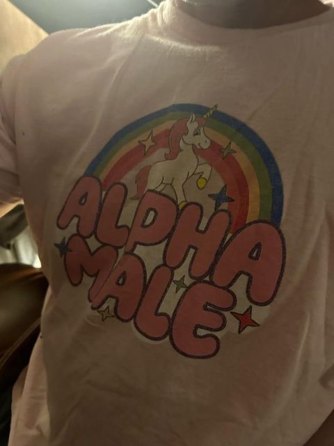 Tshirt that says alpha male with rainbow and unicorn 