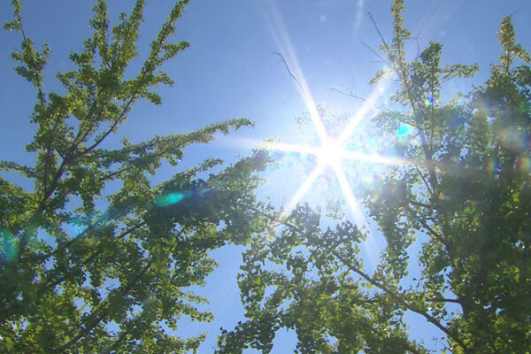 Heat Wave Advisory Issued for Seoul amid Autumn Heat