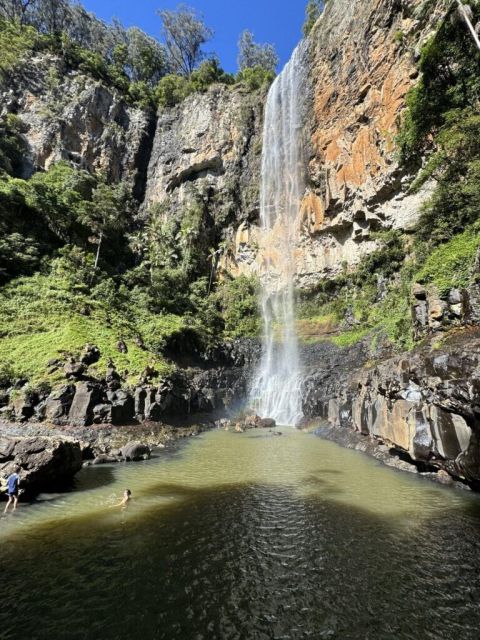 Springbrook National park + cow going to prison
