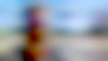 New bilingual sign requirement stirs uproar in N.B. community, prompting mayor to quit