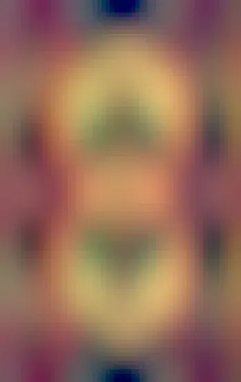 Ein Vogelpaar sitzt sich gegenseitig zugewandt auf einem Zweig über einem Wasser, hinter ihnen die runde Abendsonne
Quelle: Vögel, Imke Dierks, Pinterest