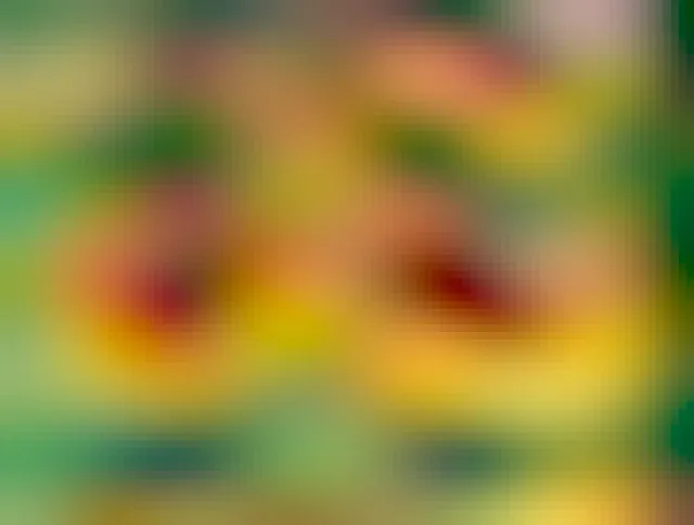 Arizona blanket flowers. One flower has a bumblebee (on the right).