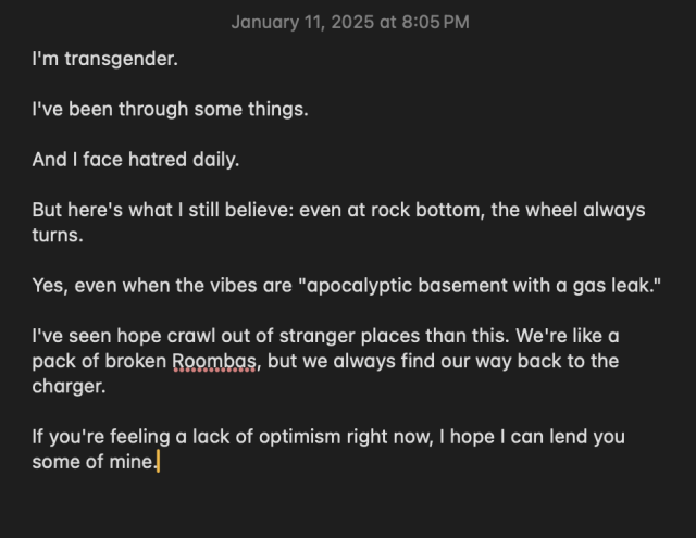 I'm transgender. 

I've been through some things. 

And I face hatred daily. 

But here's what I still believe: even at rock bottom, the wheel always turns. 

Yes, even when the vibes are "apocalyptic basement with a gas leak." 

I've seen hope crawl out of stranger places than this. We're like a pack of broken Roombas, but we always find our way back to the charger. 

If you're feeling a lack of optimism right now, I hope I can lend you some of mine.