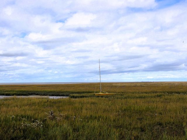 The ‘Thor’, a small yellow ship, is lying in the salt marshes of the North Sea. It looks as if it is stranded, but a narrow waterway can be seen to its left. The sky is blue with clouds.