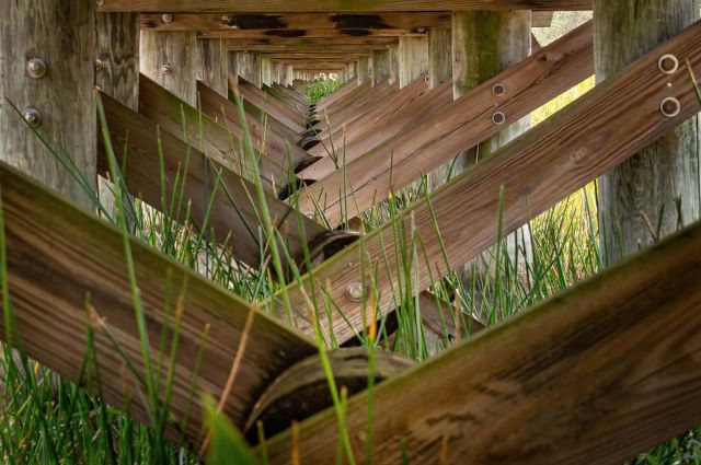 View beneath a wooden boardwalk in the Florida Everglades, showing repeating beams and tall grasses in filtered sunlight.