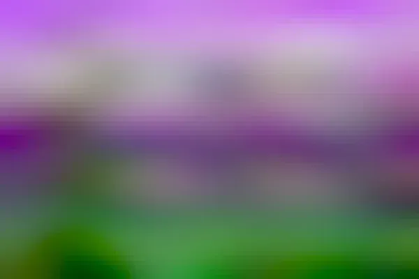 A view of the Himalayan Mountains from a Tibetan temple, in stylized colors with an overlaid text that reads: བྷབཚནབྷཛྷབམཔ