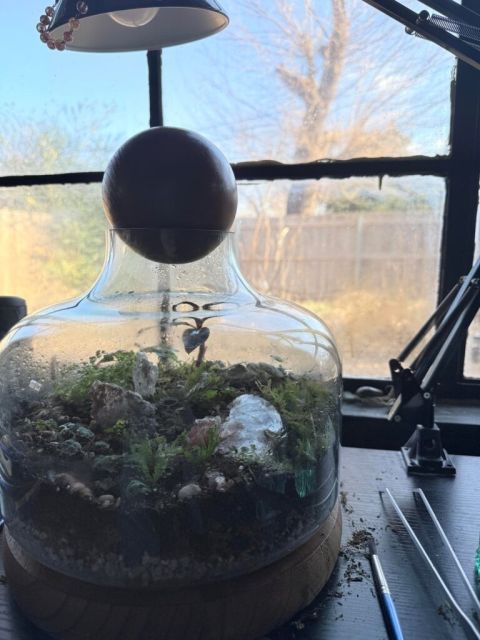 Some of my glass encased biomes and current working projects: all just plants and mosses and a couple springtails and lots of staring into jars.