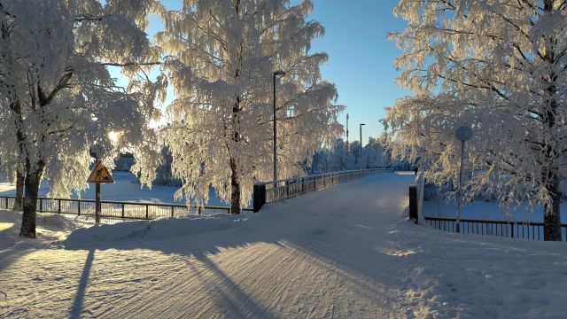 Valokuva lumen huurtamista puista aamuauringossa kohdalla, missä Linnabaana leikkaa Toivoniemen kärjen.