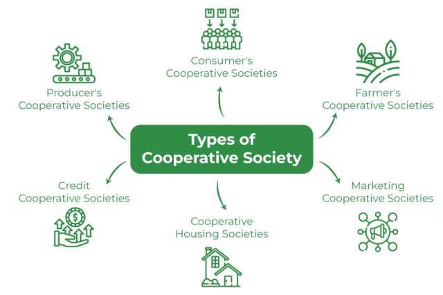 types of cooperatives
