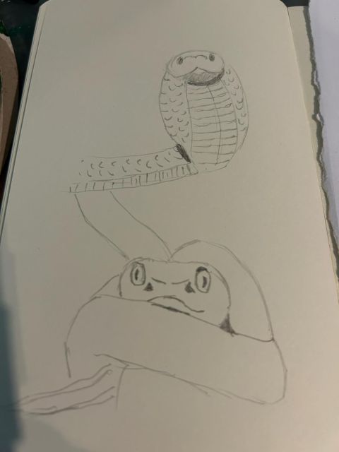 Sketches of 2 snakes