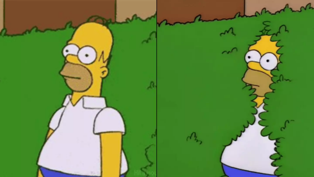 Homer simpson in front of a bush moving backwards quietly, used often as a meme