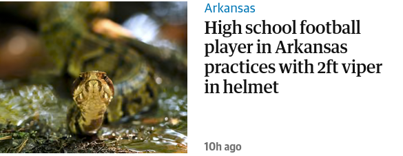A cottonmouth snake next to the headline "Arkansas:  High school football player in Arkansas practices with 2ft viper in helmet"