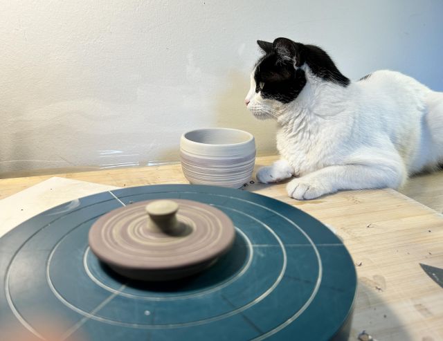Cat lying on a workbench, behind a banding wheel, nosing a recently made bowl