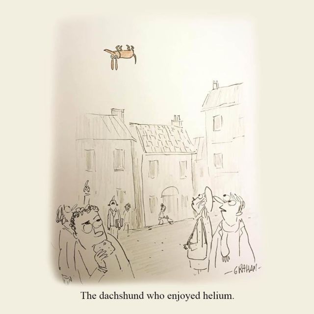Cartoon of a small dachshund floating like a helium balloon above a town square while surprised pedestrians below stare up. Caption reads "The dachshund who enjoyed helium."