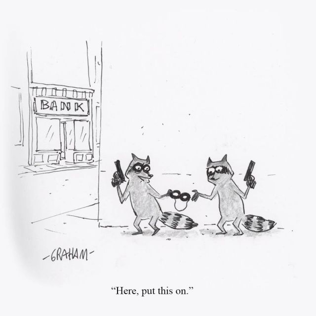 Two raccoons, one wearing a bandit eye mask and holding pistols outside a bank,  hands the other one a simple black eye mask as a gag, captioned "Here, put this on."